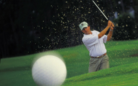 Golf-företagslista