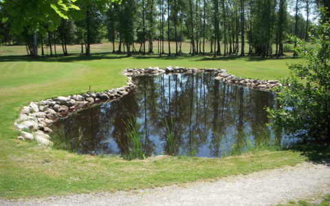 Saxnäs 2011